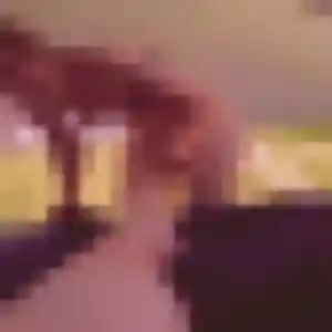 Photo perso de Urielle, 36 ans à Guingamp - rencontre sans lendemain