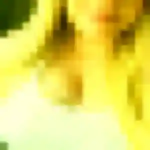 Ximena, 27 ans, disponible à Habère-Lullin pour un plan cul