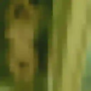 Profil de Camille à Hambach (37 ans) - plan cul gratuit