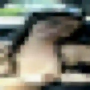 Profil de Nelly à Haybes (45 ans) - plan cul gratuit