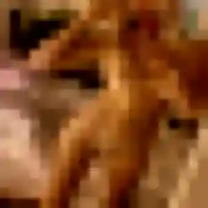 Photo sexy de Aisha, 22 ans à Hochfelden - rencontre coquine