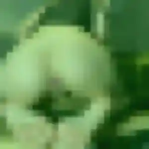 Photo de Idalina à Hondouville (37 ans) - plan cul anonyme