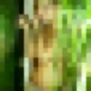 Elena, 43 ans, disponible à Hontanx pour une rencontre coquine