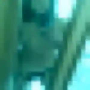 Ibtissam, femme de 23 ans cherche plan cul à Houlle
