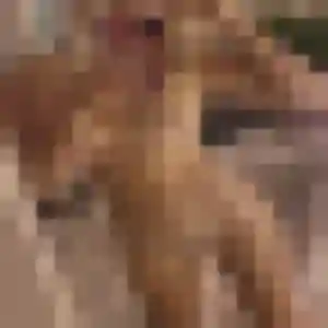 Photo de Sixtine à Houx (36 ans) - plan cul anonyme