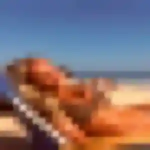 Jolie Fiona, 23 ans à Indre - la contacter