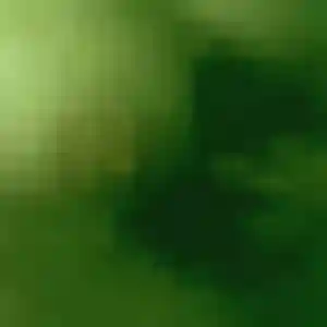 Photo perso de Giulia, 36 ans à Isles-les-Meldeuses - rencontre sans lendemain