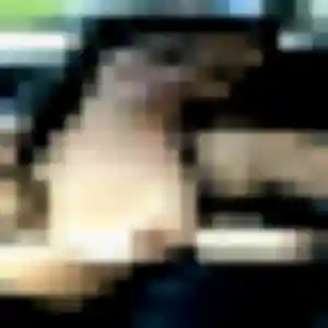 Photo privée de Meriem, 32 ans à Izon - plan discret