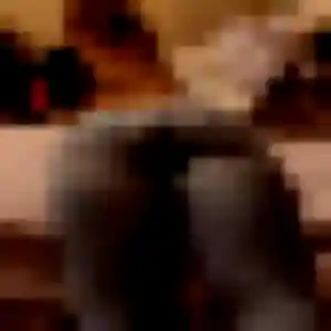 Profil de Lisa à Jaulgonne (25 ans) - plan cul anonyme