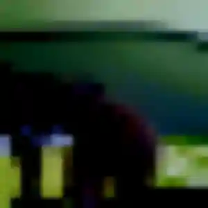 Blandine, 39 ans, en ligne à Javerlhac-et-la-Chapelle-Saint-Robert pour une rencontre coquine