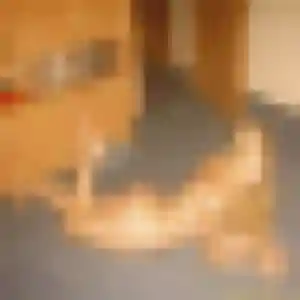 Photo de Lucienne à Jayat (32 ans) - plan cul sans inscription