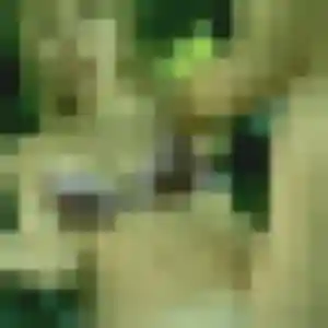 Photo de Malika à Jebsheim (30 ans) - plan cul gratuit