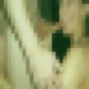 Charmante Erika, 42 ans à Juigné-sur-Sarthe - la contacter