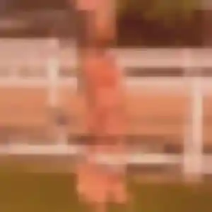 Photo sexy de Salome, 42 ans à Juliénas - plan discret