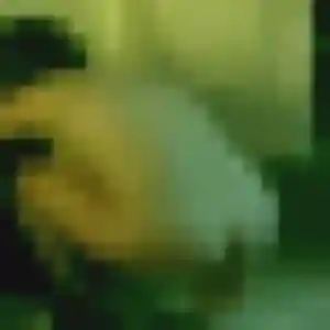 Salima, femme de 45 ans veut plan cul à Jumeauville
