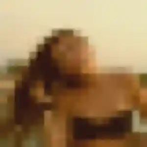 Photo de Chloe à Juvardeil (42 ans) - plan cul anonyme