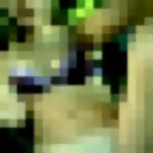 Rencontre Iseult, 44 ans à Kintzheim en privé