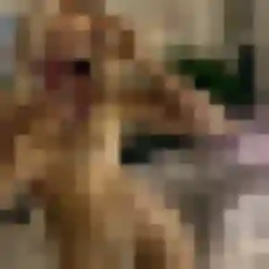 Anne-Charlotte, 38 ans, disponible à Kurtzenhouse pour un plan cul