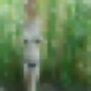 Photo privée de Lea, 29 ans à La Celle-les-Bordes - plan discret