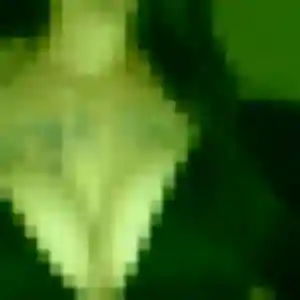 Germaine (36 ans) à La Chapelle-de-Surieu propose une rencontre rapidement