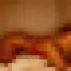 Berengere, 23 ans, disponible à La Chapelle-Saint-Laud pour une rencontre coquine