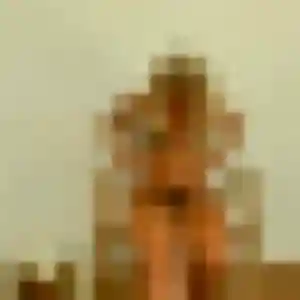 Photo de Chiara à La Châtaigneraie (33 ans) - plan cul anonyme