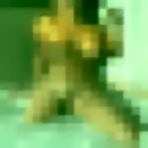 Photo sexy de Daphne, 39 ans à La Châtaigneraie - plan discret