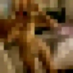Photo privée de Luna, 33 ans à La Dominelais - rencontre sans lendemain