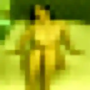 Erika, fille de 36 ans cherche plan cul à La Foye-Monjault