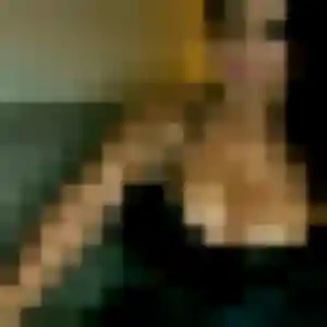 Patricia, 27 ans, connectée à La Landec pour une rencontre coquine