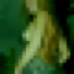 Claire, fille de 26 ans cherche plan cul à La Lucerne-d'Outremer