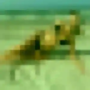 Photo privée de Viviane, 45 ans à La Môle - rencontre coquine