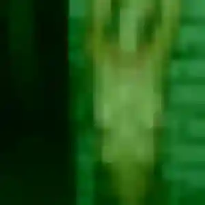 Sexy Salome, 41 ans à La Palme - voir sa photo