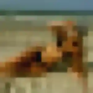 Claire, 24 ans, en ligne à La Ravoire pour une rencontre coquine