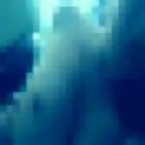 Capucine, 27 ans, connectée à La Roche-Maurice pour une rencontre coquine