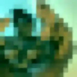 Photo sexy de Zelda, 37 ans à La Roque-d'Anthéron - rencontre sans lendemain