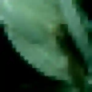 Sylviane (37 ans) à La Roquebrussanne cherche un plan cul rapidement