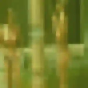 Regine, femme de 37 ans cherche plan cul à La Villedieu-du-Clain