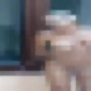Rencontre Lina, 41 ans à Labège en privé