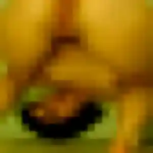 Photo de Nadine à Lafitte-sur-Lot (34 ans) - plan cul anonyme