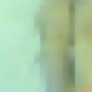 Photo de Elena à Laives (26 ans) - plan cul anonyme