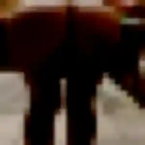 Camille, 23 ans, en ligne à Lamotte-Warfusée pour une rencontre coquine