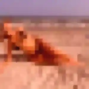 Salome, 30 ans, en ligne à Landres pour une rencontre coquine