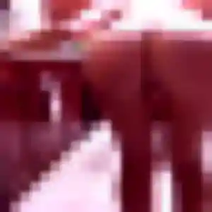 Belle Morgane, 36 ans à Langon - la contacter