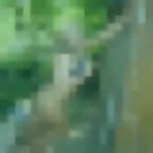 Corinne, fille de 31 ans cherche plan cul à Lanvénégen