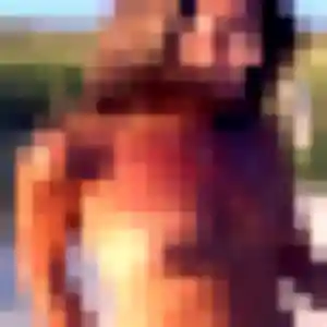 Photo sexy de Vinciane, 31 ans à Laplume - rencontre coquine