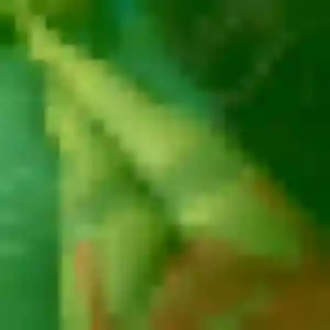 Photo sexy de Domitille, 36 ans à Laragne-Montéglin - plan discret