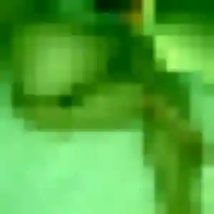 Photo de Djamila à Lassy (30 ans) - plan cul anonyme