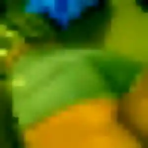 Sexy Zelda, 37 ans à Lattes - voir sa photo
