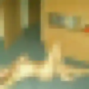 Louise, fille de 29 ans cherche plan cul à Lauterbourg